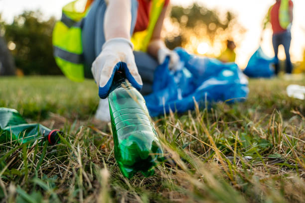 Yard Cleanup Services in Dahlonega, GA